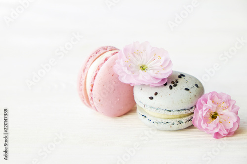 Two pieces of blue & pink french macaron sweets with blueberry and strawberry flavor, tender spring flower bloomings from fruit tree. Isolated white background, copy space, close up, top view.