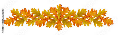 Autumn garland with colorfu...