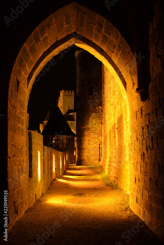 View point of Cite de Carcassonne, France