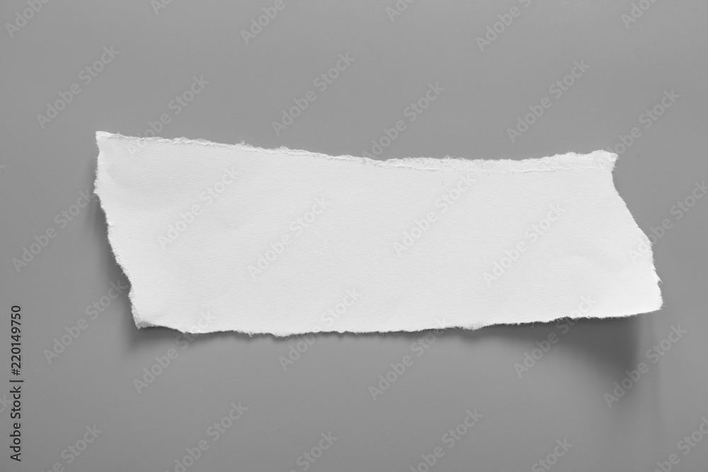white torn paper on gray background. collection paper rip white torn paper on gray background. collection paper rip
