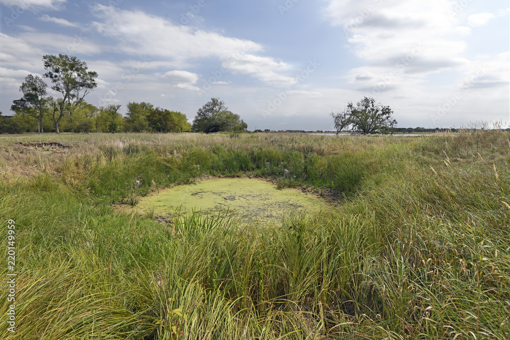 Teich am Ufer der Oder im Natura 2000 Gebiet "Dolna Odra