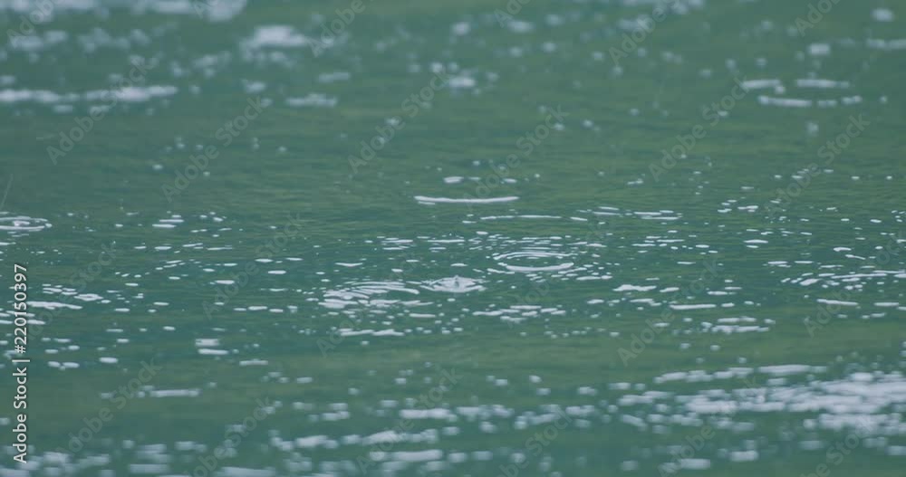 rain drops splashing in river water calm nature scene background in slow motions rain drops splashing in river water calm nature scene background in slow motions