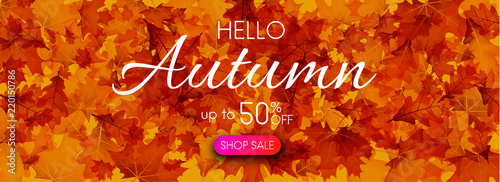 Hello autumn 50% sale. Promo banner with golden leaves.