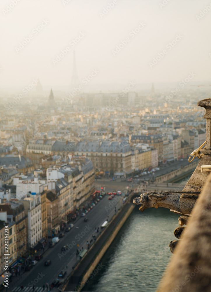 Fototapeta premium Paris Sunset View Eiffel Tower skyline