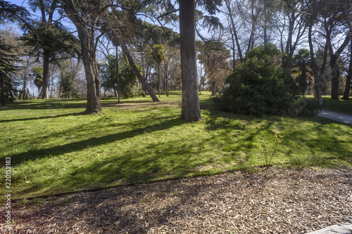 view of the interior of the public park of El Buen Retiro in Madrid, Spain