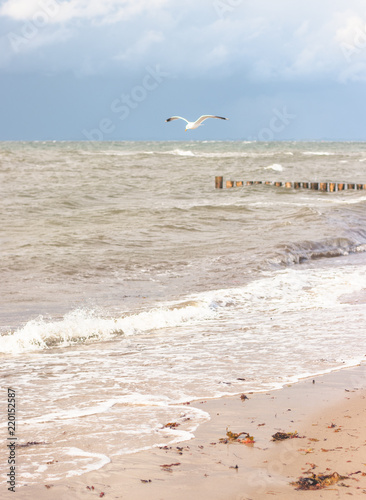 M  we an der Ostsee am Wasser