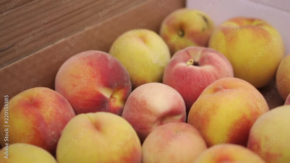 Box full of fresh picked peaches Box full of fresh picked peaches