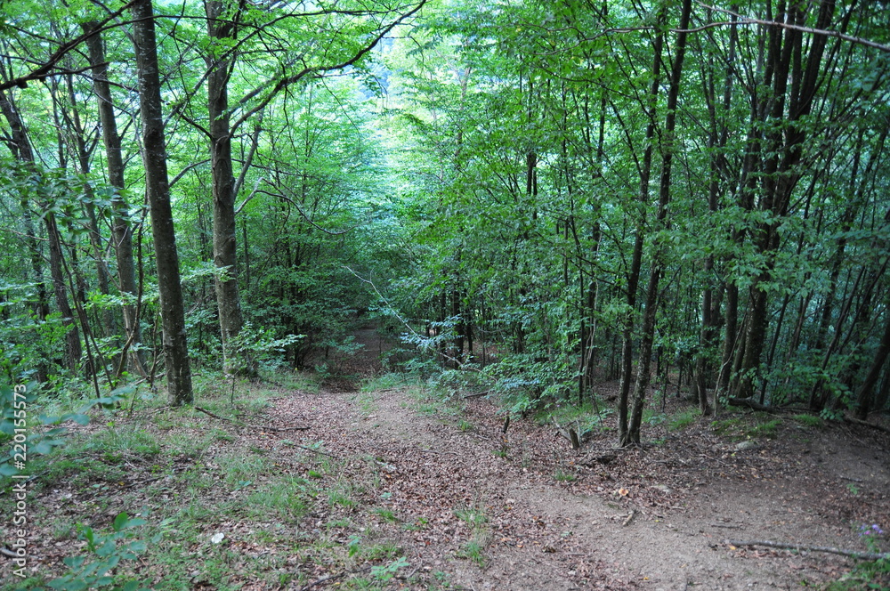 Obraz premium Pension Lara Romania