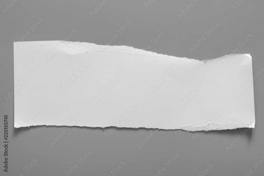 white torn paper on gray background. collection paper rip white torn paper on gray background. collection paper rip