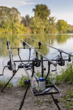 Carp fishing rods on a lake