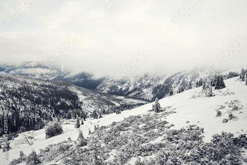 Beautiful snowy foggy winter landscape of Labsky dul, Elbe valley near Elbe river spring, country near Labska bouda, Krkonose Mountains, Czech Republic, freezing weather © josefkubes