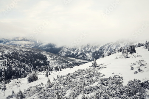 Beautiful snowy foggy winter landscape of Labsky dul, Elbe valley near Elbe river spring, country near Labska bouda, Krkonose Mountains, Czech Republic, freezing weather photo