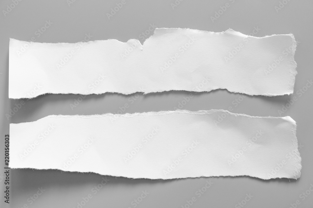 white torn paper on gray background. collection paper rip white torn paper on gray background. collection paper rip