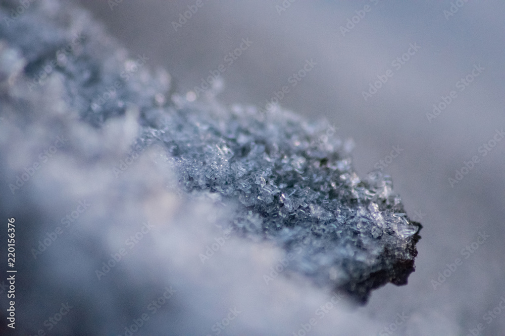 snow crystals snow crystals
