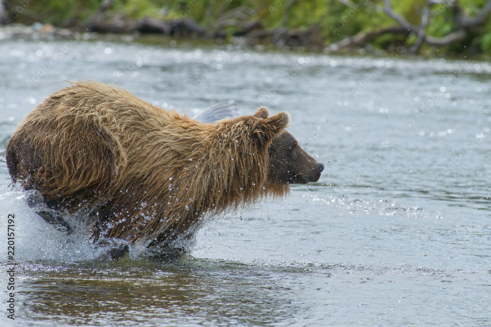 in full pursuit in full pursuit