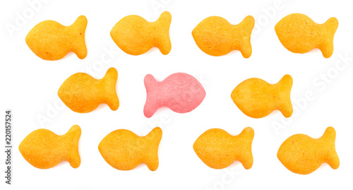 FIsh Shaped Cheese Crackers on a White Background