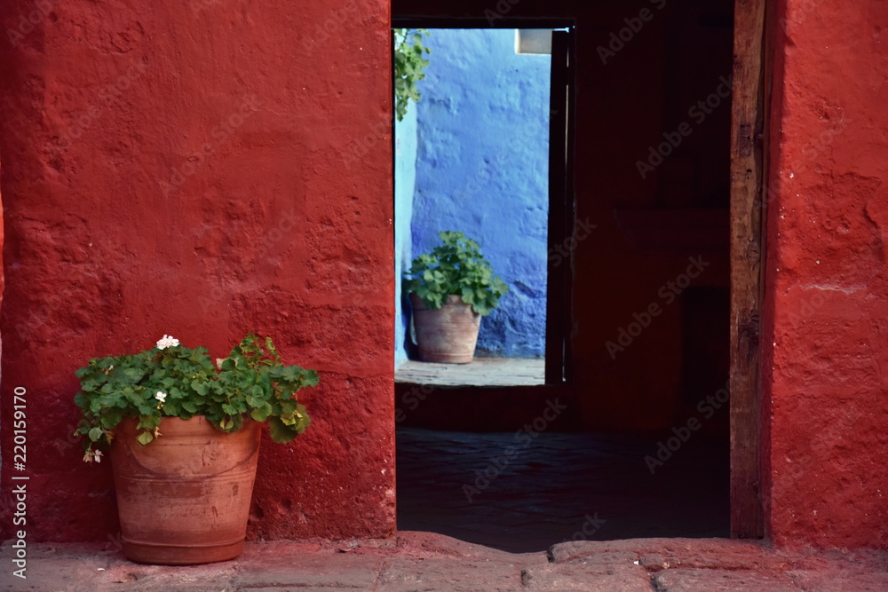 Patio in Red and Blue wall