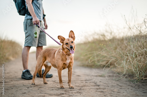 man and dog hiking