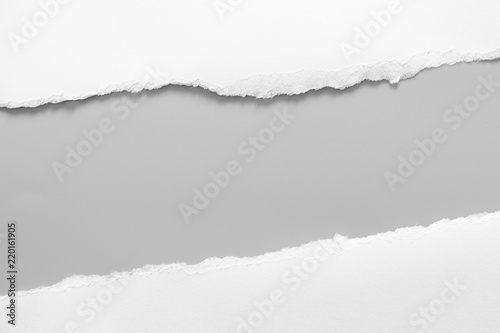 white torn paper on gray background. collection paper rip