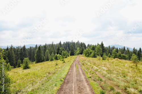 Picturesque landscape with pathway in mountain forest