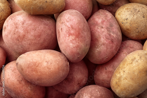 Fresh ripe organic potatoes as background  top view