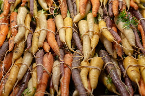 Fresh Organic Carrots