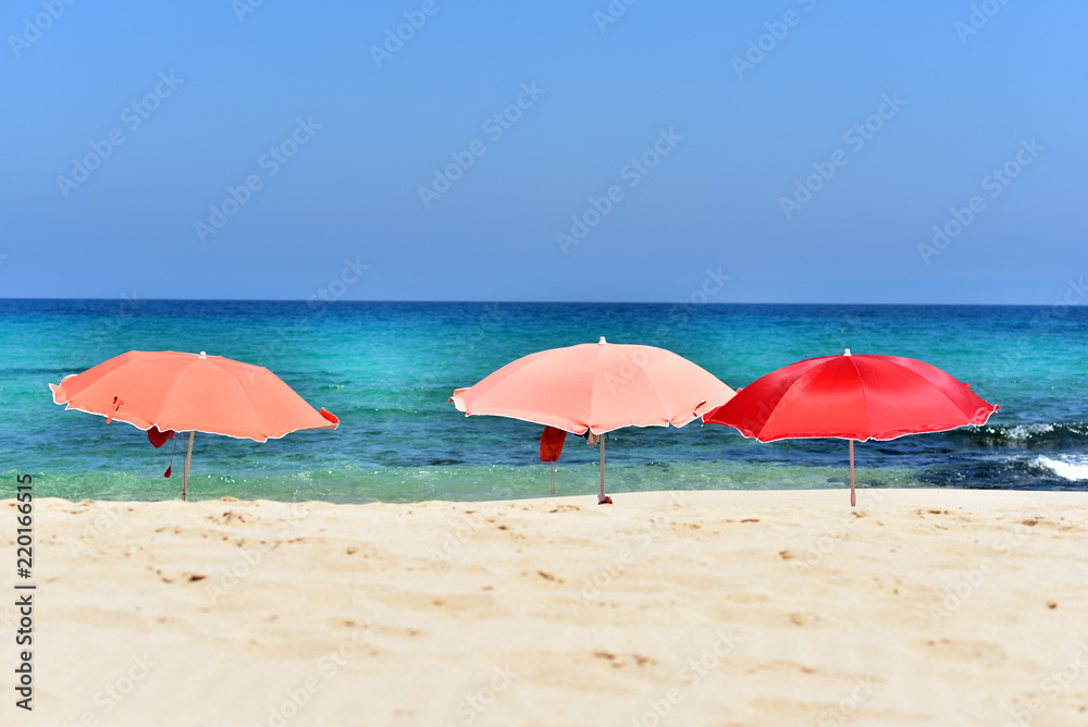 Colorful umbrellas in Corralejo Beach, Fuerteventura Island, Canary Islands, Spain