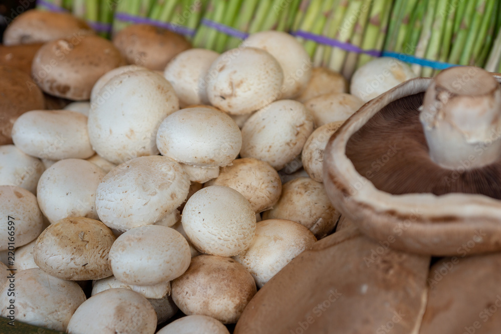 Fresh Organic Mushrooms