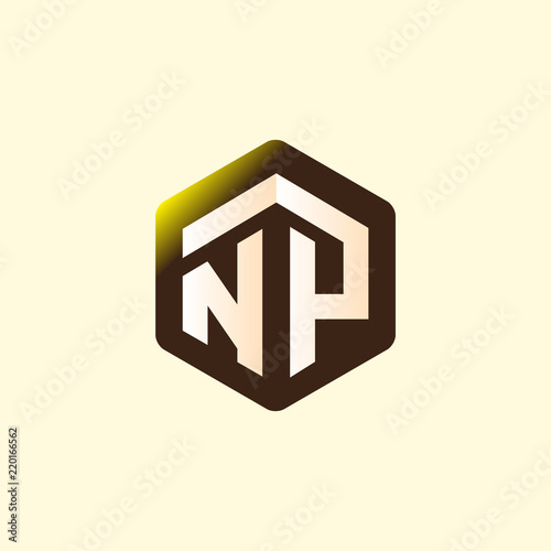 NP Initial letter hexagonal logo vector