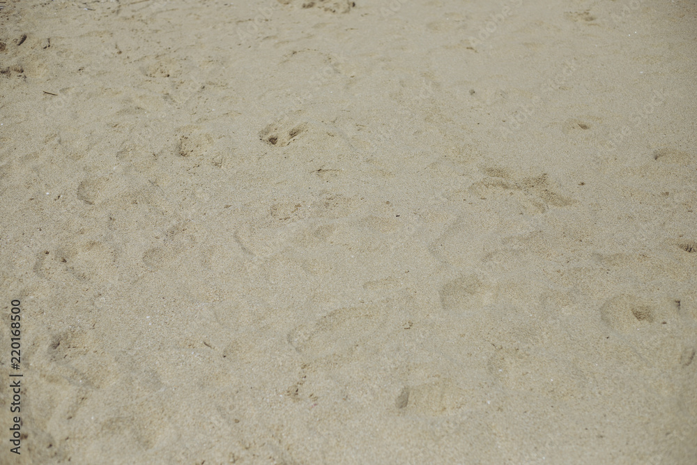 足跡のついた砂浜