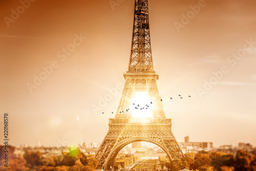 Birds flying through eiffel tower in front of sun