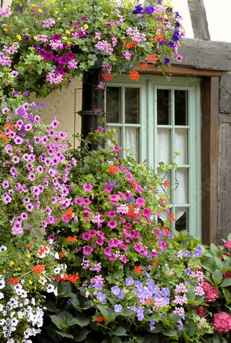 ville de Francheville, fenêtre en bois verte noyée dans les fleurs, département de l'Eure, Normandie, France © Philippe Prudhomme