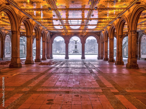 Bethesda Terrace and Fountain