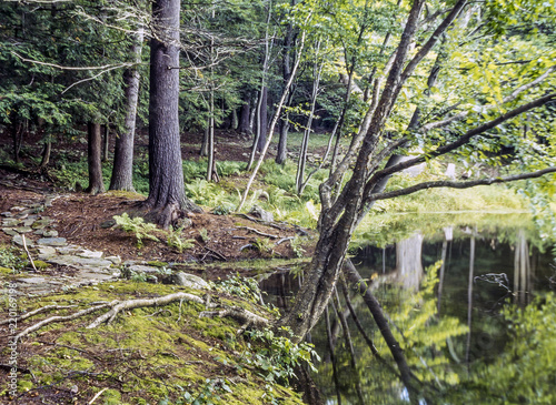 Path around pond in upstate New York