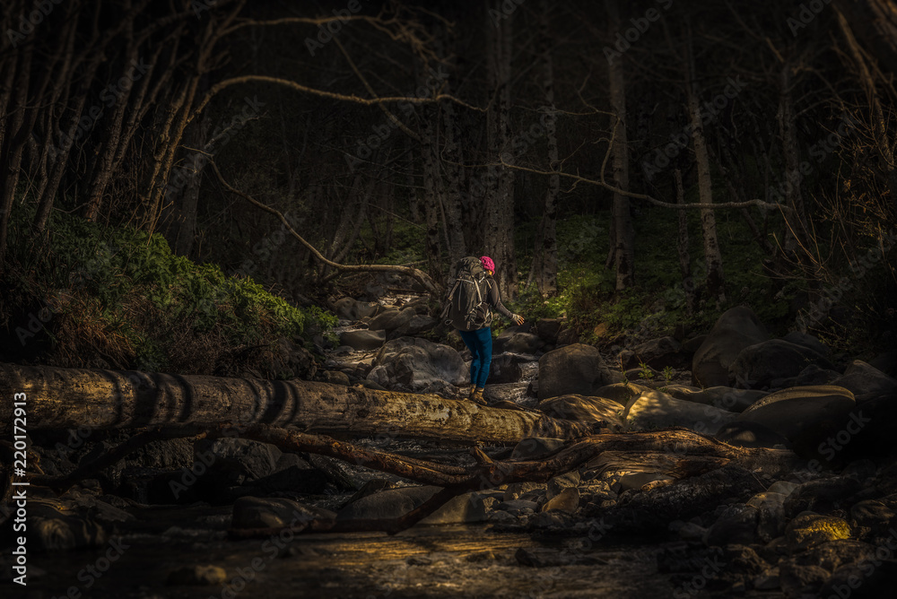 Naklejka premium Hiker crossing a downed tree over the river on The Lost Coast trail