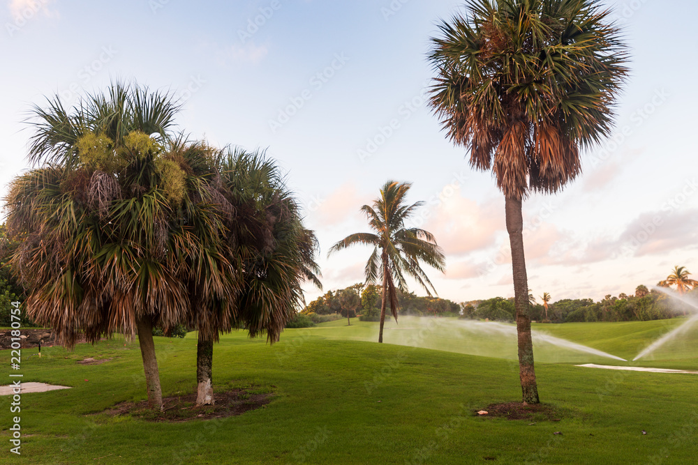 Early morning watering on the golf course. Early morning watering on the golf course.