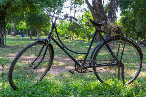 Old vintage bicycle on green grass background
