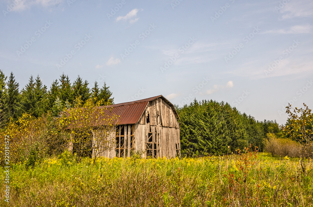 Obraz premium Weathered Barn Basking in the Summer Sun