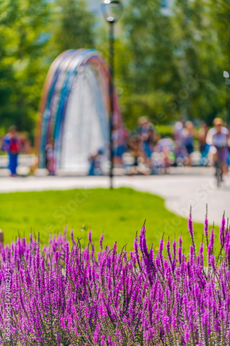 Beautiful city park in South Butovo. Moscow. Russia photo