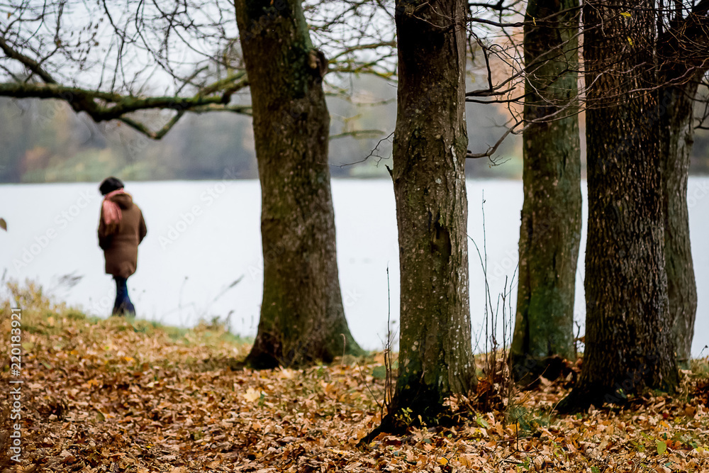 Lonely woman walking in the autumn forest. Autumn - time is sad_ Lonely woman walking in the autumn forest. Autumn - time is sad_