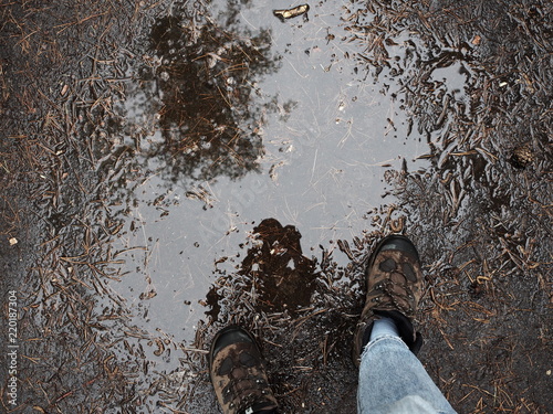 shoe in a forest puddle