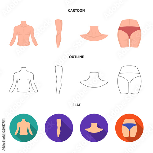 Torso, leg, neck and buttocks. Body parts set collection icons in cartoon,outline,flat style vector symbol stock illustration web.