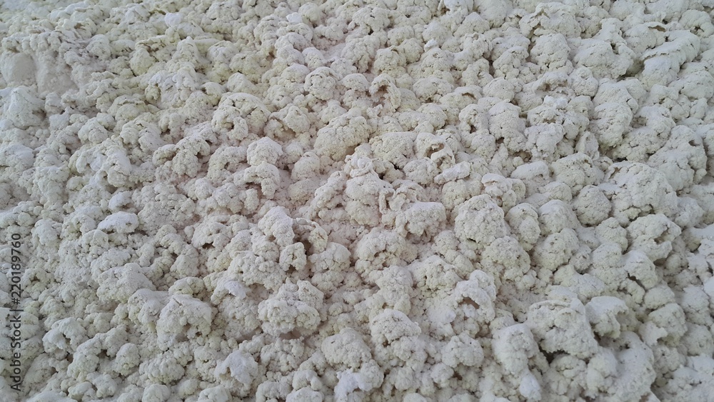 skin taxture and taxture detail of surface is identity background