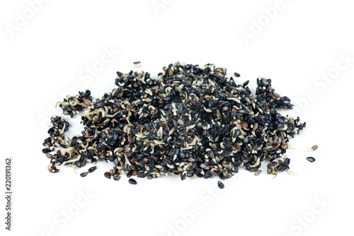 Pile of germinated black sesame seeds isolated on white background photo