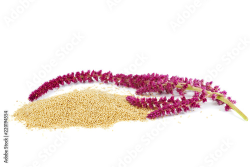 Amaranth plant and seeds isolated on white background