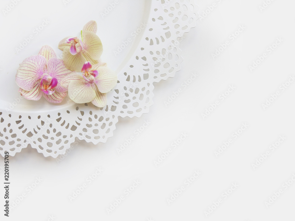 Flat lay composition with orchid flowers Flat lay composition with orchid flowers