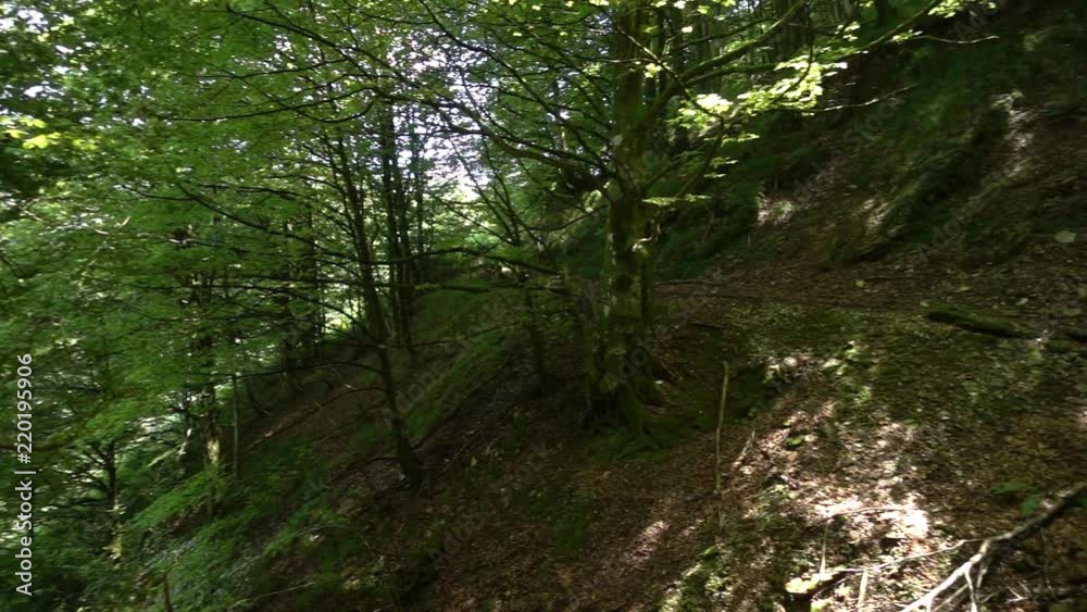 The way of santiago between valcarlos and roncesvalles The way of santiago between valcarlos and roncesvalles