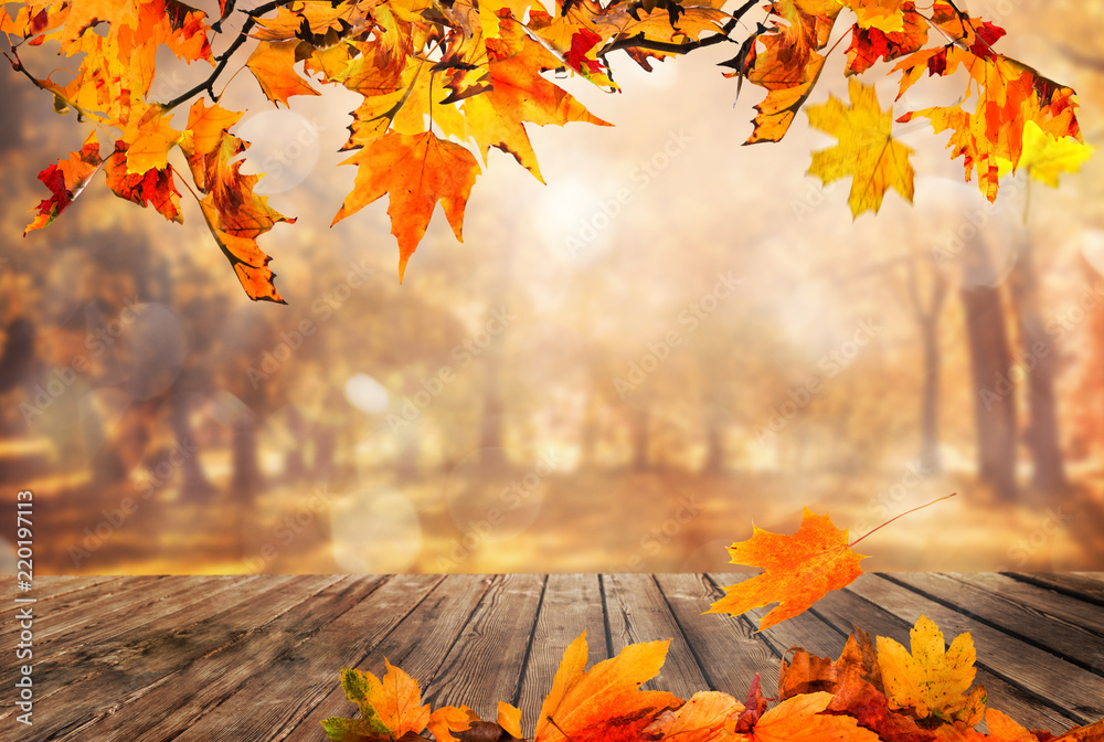 Wooden table with orange leaves autumn background - obrazy, fototapety, plakaty 