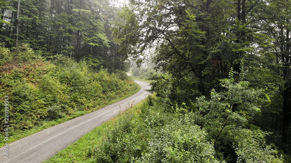 Aerial view of mountain road in the fog. First signs of autumn, yellow ends on leaves. Aerial view of mountain road in the fog. First signs of autumn, yellow ends on leaves.