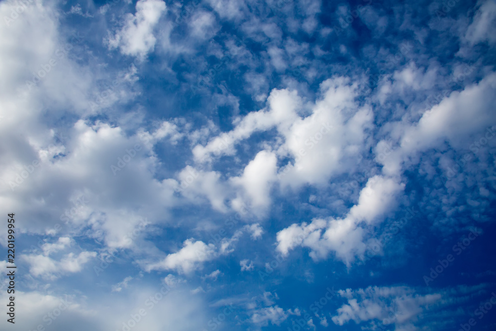 Fototapeta premium blue spring sky